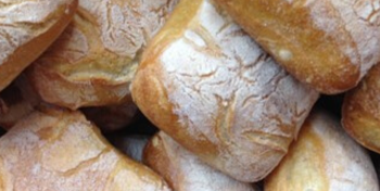 Traditional small Italian Ciabatta