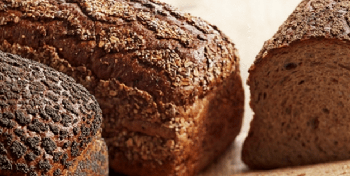 Multicereal Bread Toast