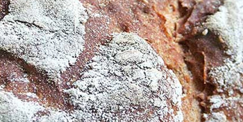 Rye bread with dense structure