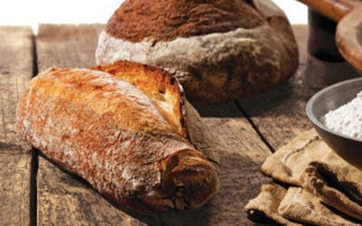 Homemade wheat bread