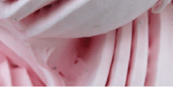 Casa Gelato Strawberry Yogurt