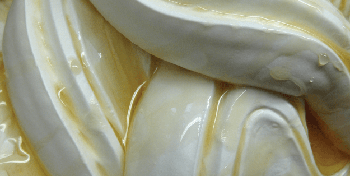Casa Gelato Yogurt