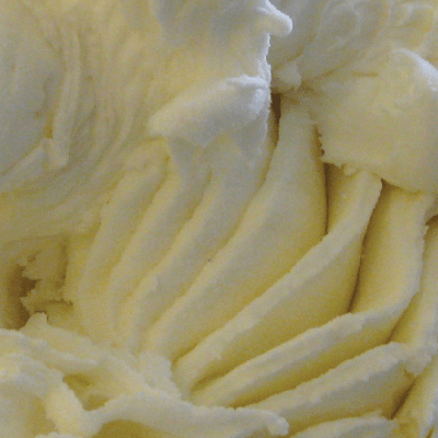 Casa Gelato Vanilla