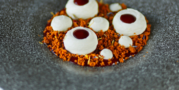 Forest Fruit Cheesecake