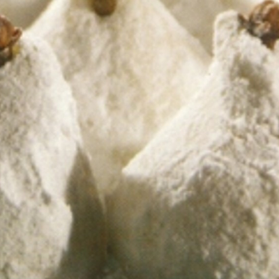 Almond paste