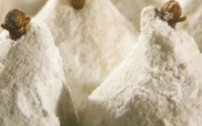 Almond paste
