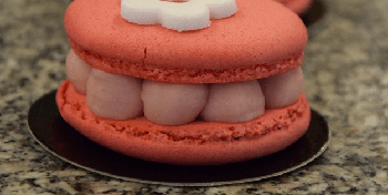 Forest fruit Macaron