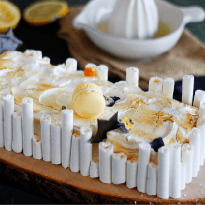 Lemon log