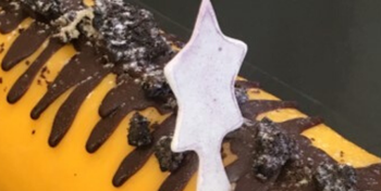 Biscuit log