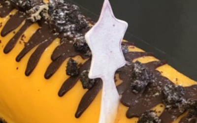 Biscuit log