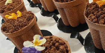 Black Forest Flower Pot