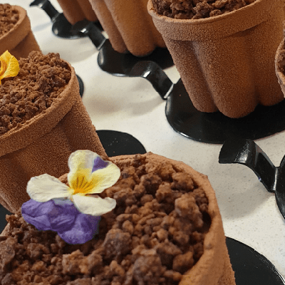 Black Forest Flower Pot