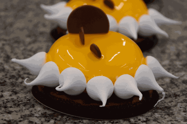 Orange Brownie — English